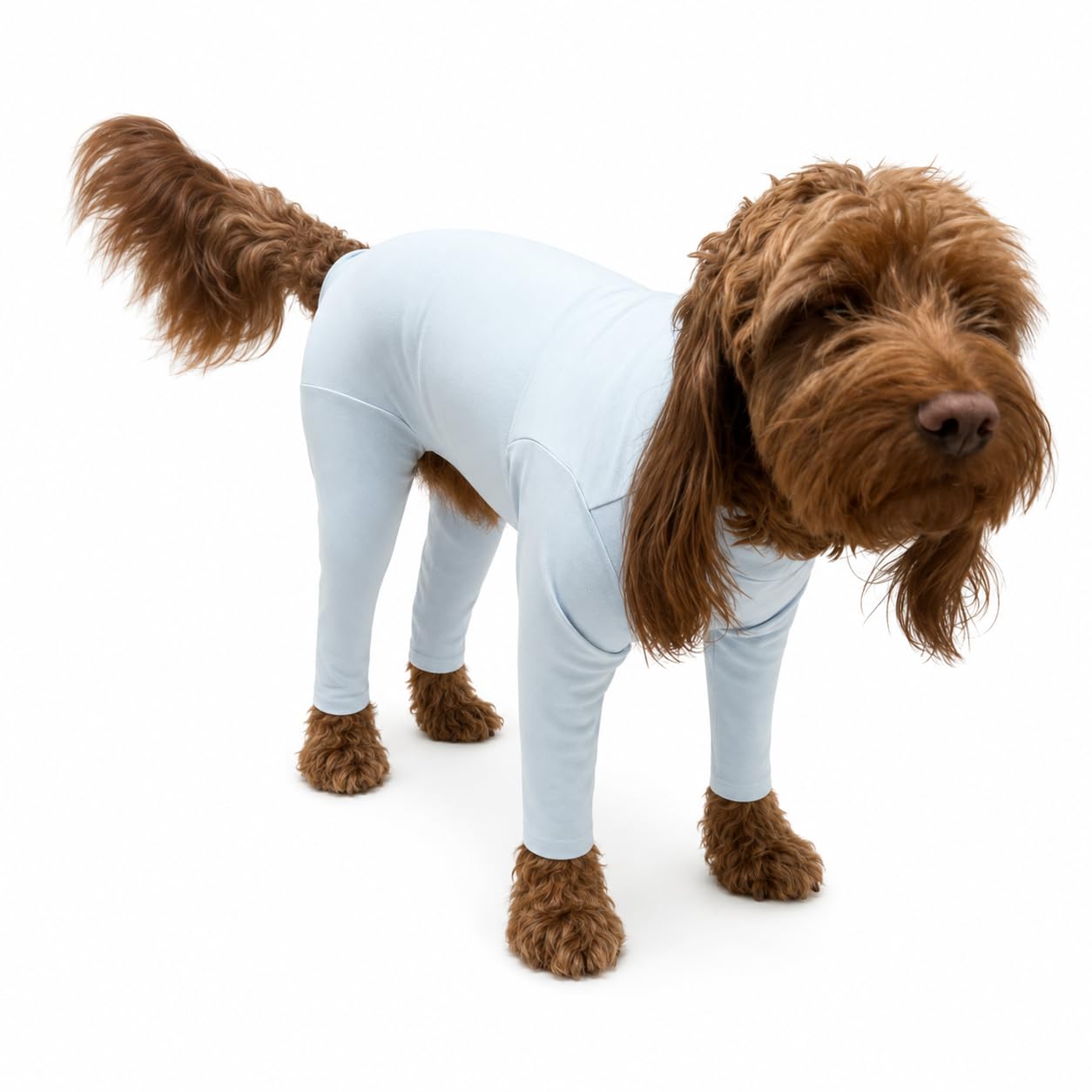 Pet Wiz Lightweight Four-Leg Dog Suit, Stretch-Fit Walking Coverall, Helps Reduce Grass Seeds, Mud, Pollen & Debris in the Coat, Harness Compatible (Mist, XS)