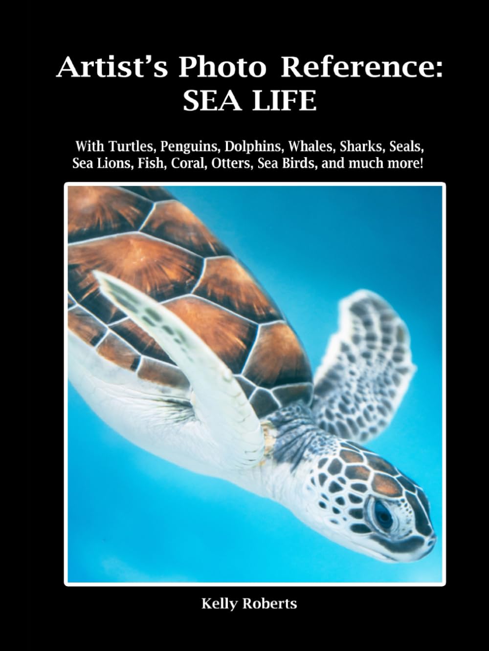 Sea Life Photo Reference: Turtles, Penguins, Dolphins, Whales, Sharks, Seals, Fish, Coral