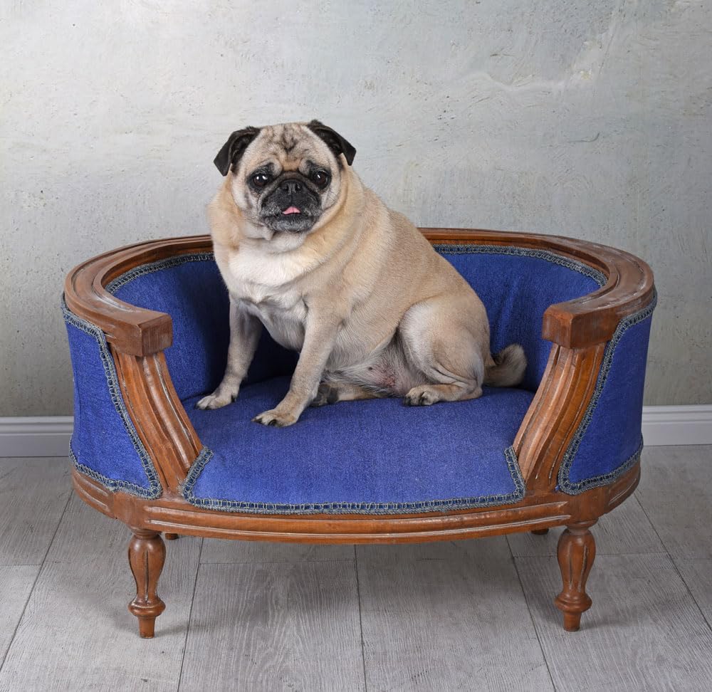 Palazzo - Cama para Mascotas, Cama para perros de madera estilo barroco, color azul, cat700g54
