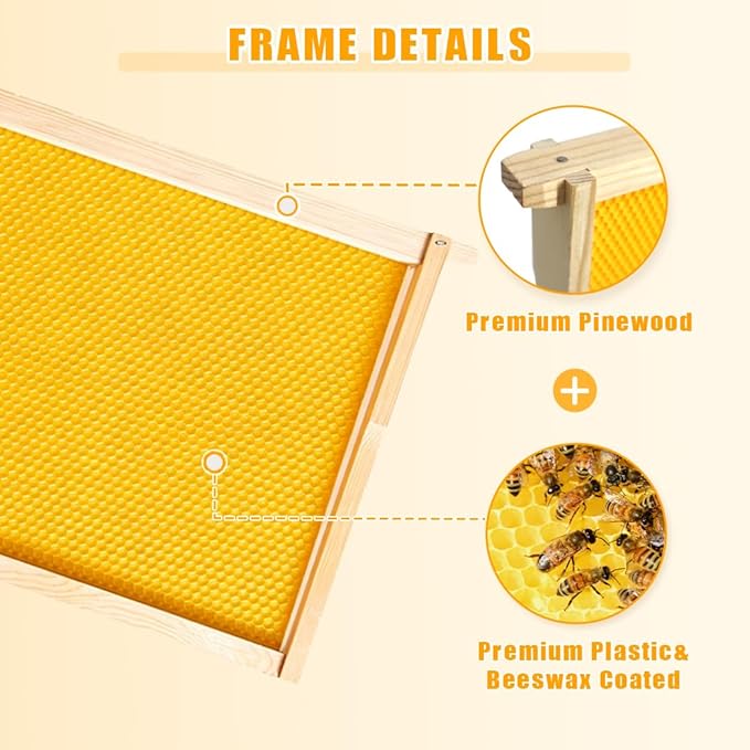 POLLIBEE 10 Pack Marcos para Colmena con Cera Abeja 9-1/8 Pulgadas miniatura 4