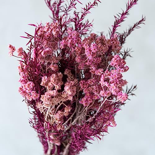 Image of Pink Confetti Bunch Flower Bouqet | Eco-Friendly Flowers for Home, Office, Bedroom, Table Decoration | Dried Flower Boquet