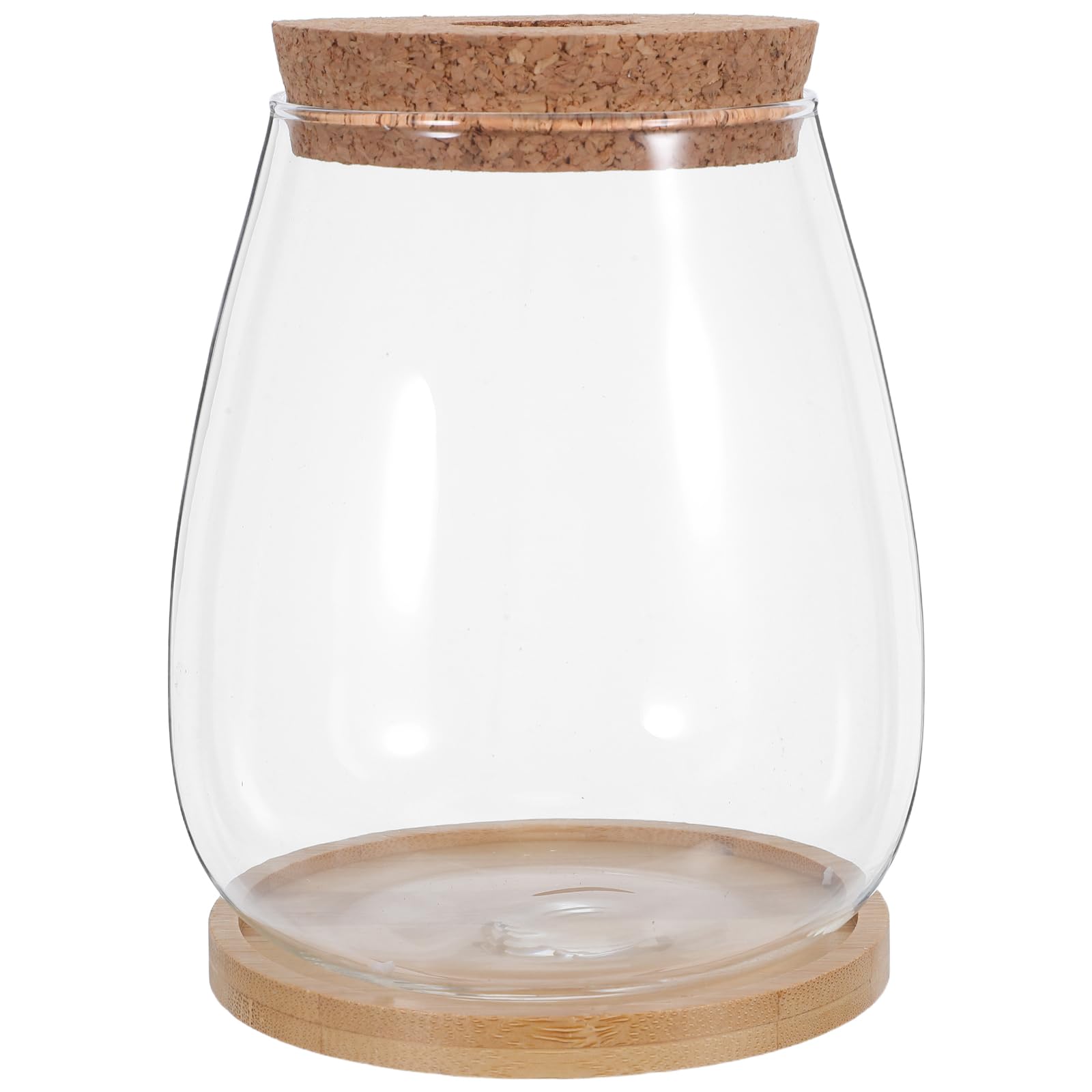 VICASKY Vase de Propagation Hydroponique en Verre Grand Format 2 Pièces avec Bouchons en Liège Perforés et Supports en Bambou, Station de Culture pour Plantes D’intérieur, Propagation