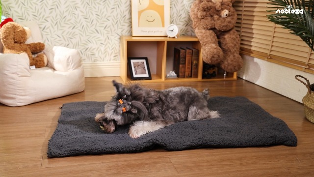 Manta Autocalefactable Para Perros Y Gatos | Alfombra Térmica Sin Electricidad | Antideslizante Y Lavable | Gris, 40x50 Cm