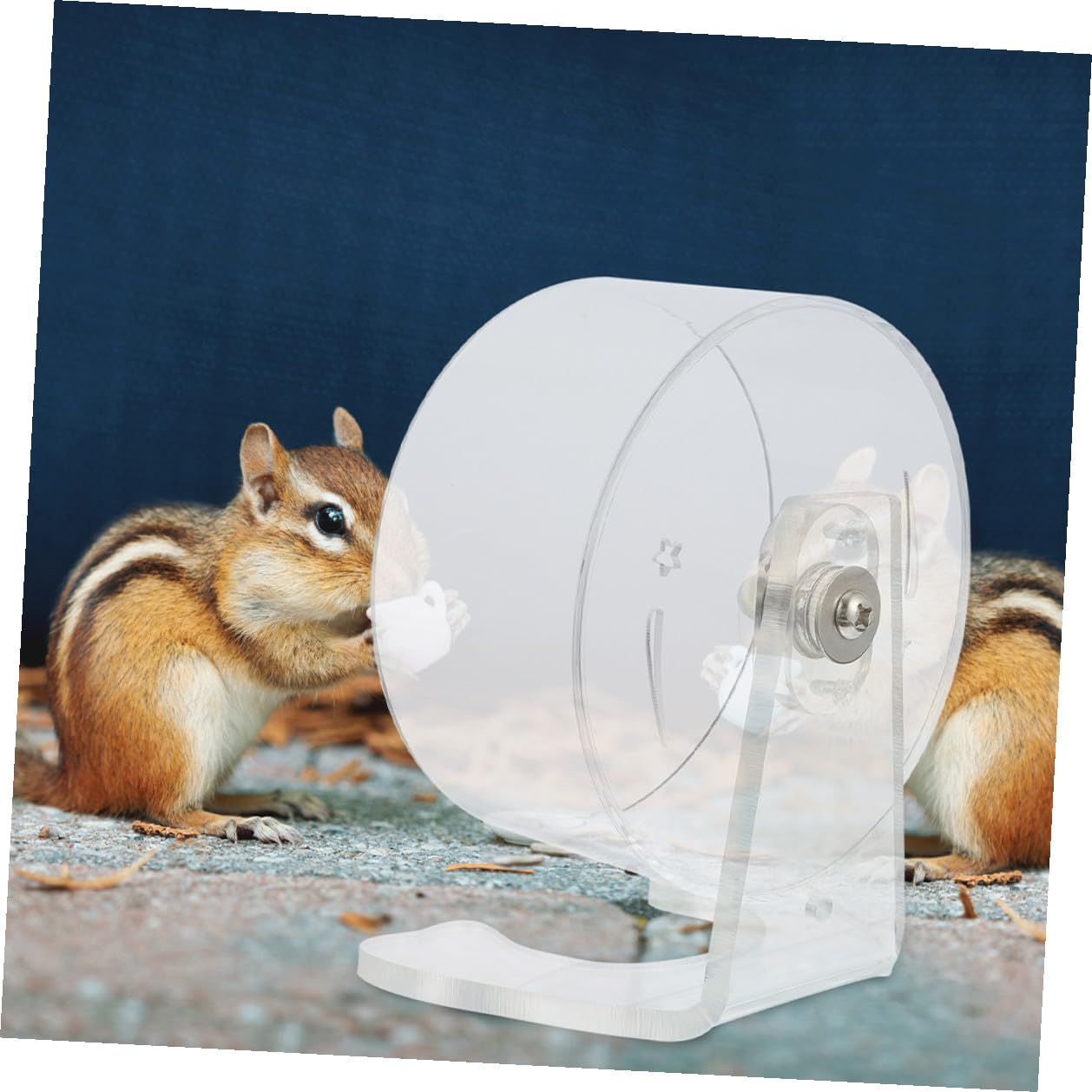 NUOBESTY Rueda para Hámster Transparente con Soporte 22 CM Rueda de Ejercicio Silenciosa para Jerbos y Mascotas Pequeñas Juguete Deportivo para Jaulas Fomenta Actividad Saludable