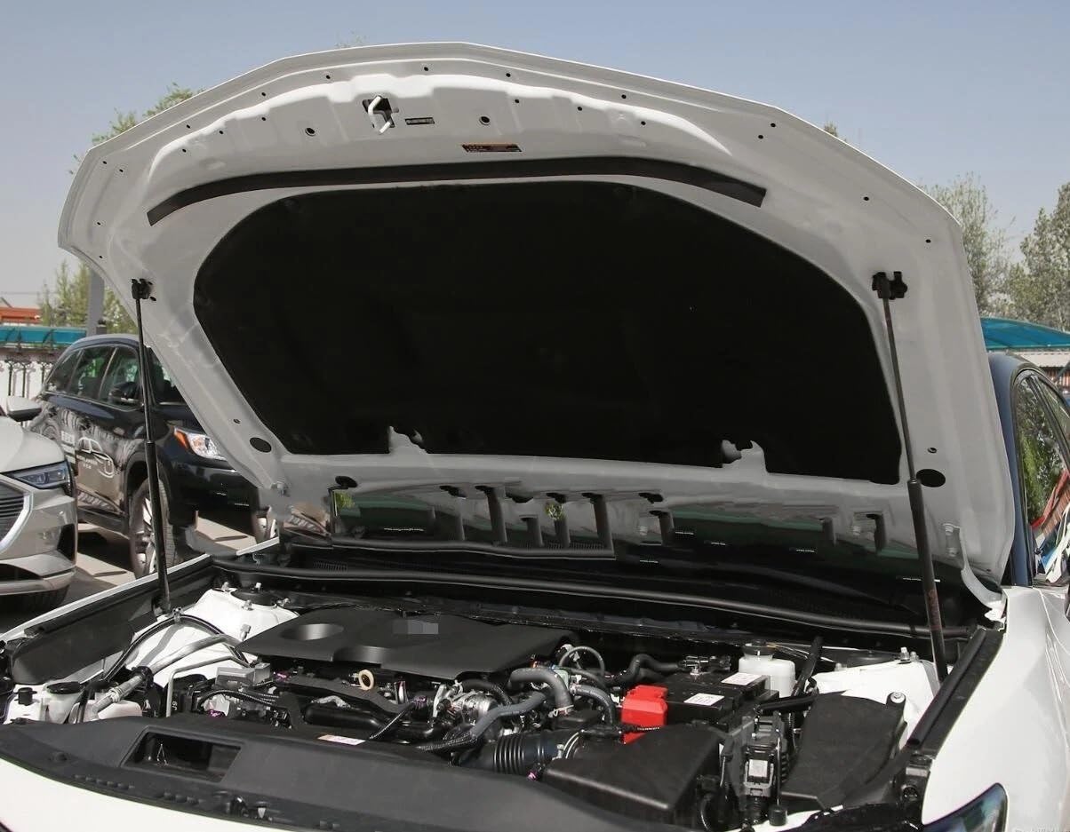 Repuesto de cárter de aceite Cubierta de algodón con cortafuegos de motor, capó delantero, transmisión automática Cárter | Apto con Camry 2018-2022 Aislamiento acústico y térmico.amortiguador de ruido