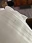 Review image 5