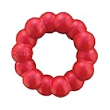 Ring - Natural Rubber Ring Toy for Healthy Chewing Habits - Chew Toy Supports Dog Dental Health - Dog Toy Supports Instincts During Playtime - for Medium/Large Dogs