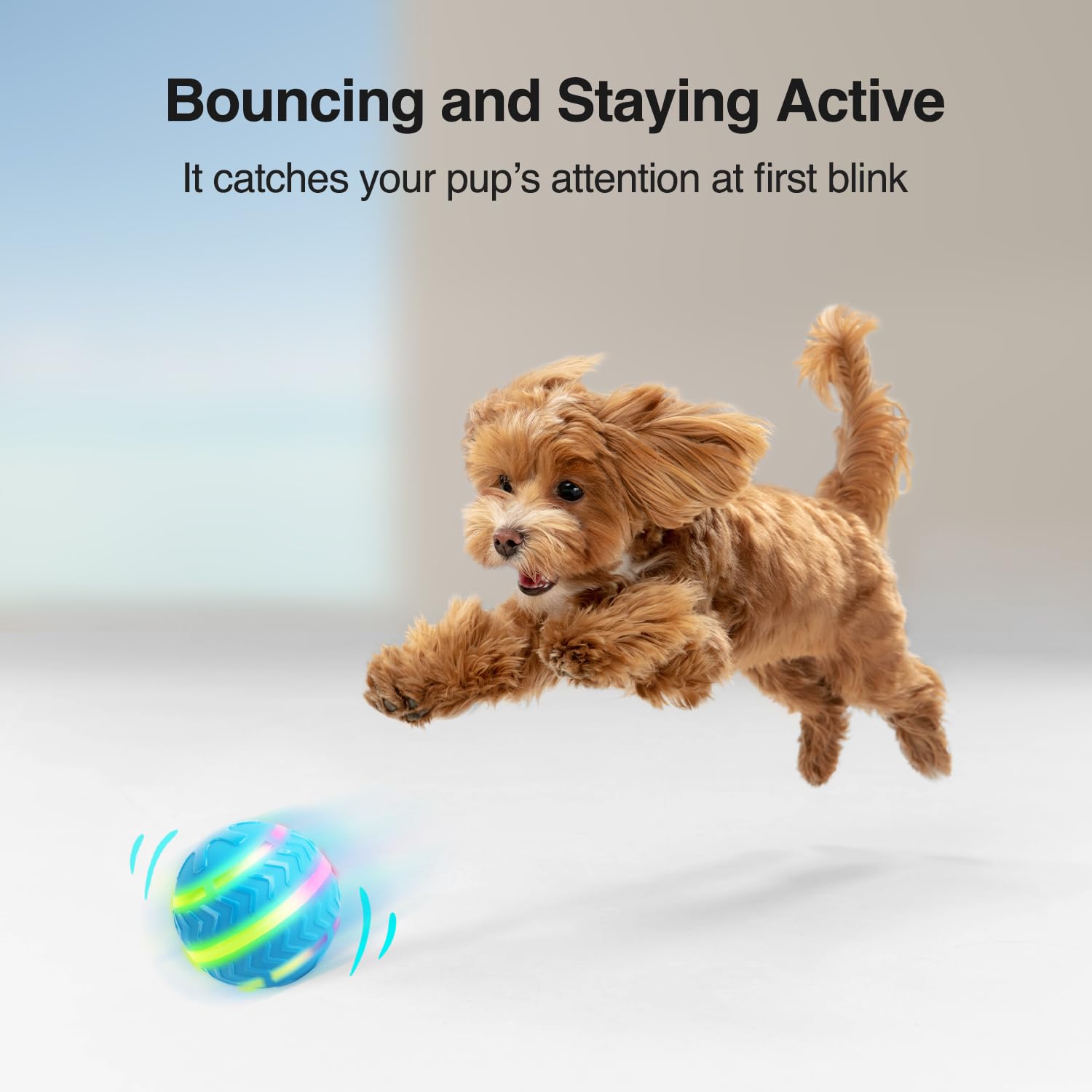 ALL FOR PAWS Interactive LED Dog Ball for Boredom Motion Activated Moving Dog Balls Toy Lights Up for Day/Night Play - Image 3