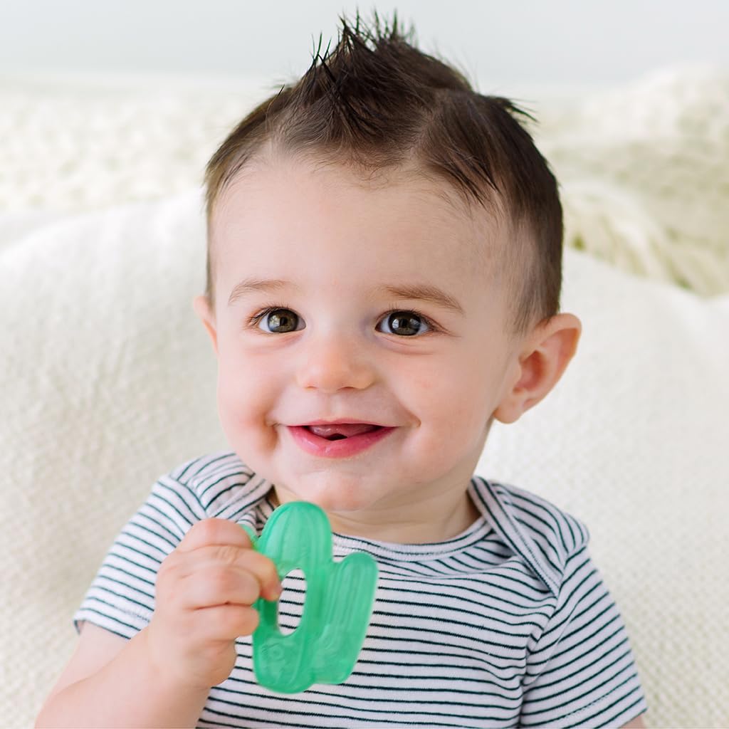 Itzy Ritzy Water-Filled Teethers - Cold Cutie Coolers Textured On Both Sides to Massage Sore Gums & Emerging Teeth - Can Be Chilled in Refrigerator, Set of 2 Green Cactus Water Teethers