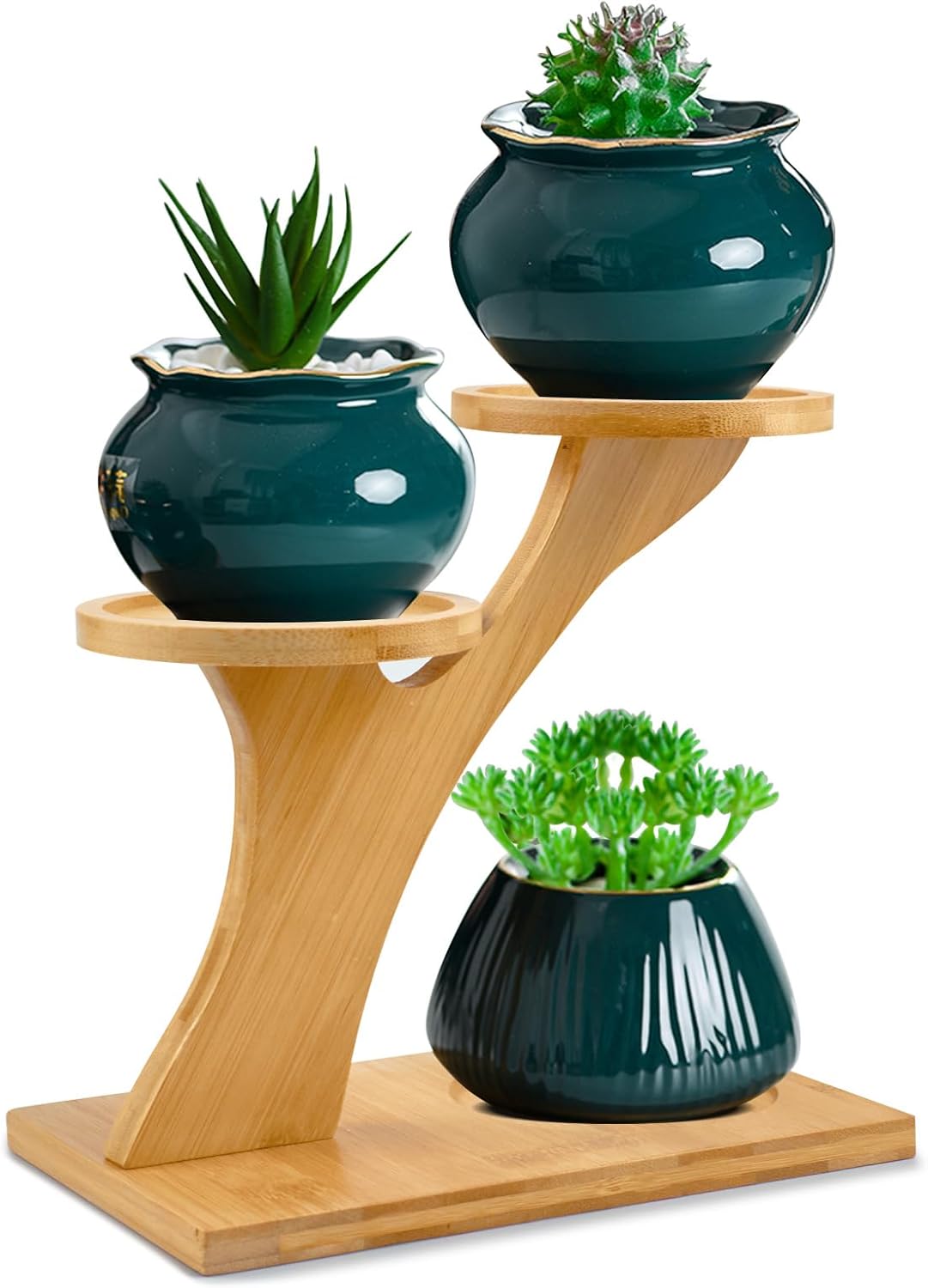 XXXFLOWER Bamboo Plant Stand ,3 Tiers Indoor Succulent Windowsill Shelf+Cactus Plant Propagation Station Terrarium Jars
