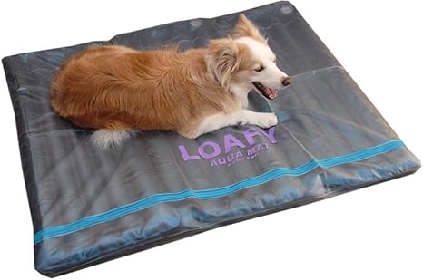 Amazon Com Loafy Water Bed For Dog 3l Pet Supplies