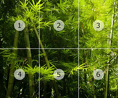 Fototapete BAMBUS DSCHUNGEL 300x250cm Bild Tapete Blumen Wanddekoration  Bordren : Amazon.de: Baumarkt