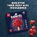 Talenti Mini Sorbetto Bar Roman Raspberry 6 count Dessert With 50 Calories Per Bar 11.1 oz