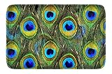 Newplenty Doormat Entrance Floor Rug Indoor Mat Non-slip Flannel for Bedroom Bathroom Living Room Kitchen Home Decorative 60x40CM (peacock feather)