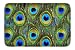 Newplenty Doormat Entrance Floor Rug Indoor Mat Non-slip Flannel for Bedroom Bathroom Living Room Kitchen Home Decorative 60x40CM (peacock feather)