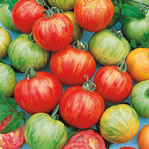 Top 15 Best Determinate Tomato Picks For 2022 BNB