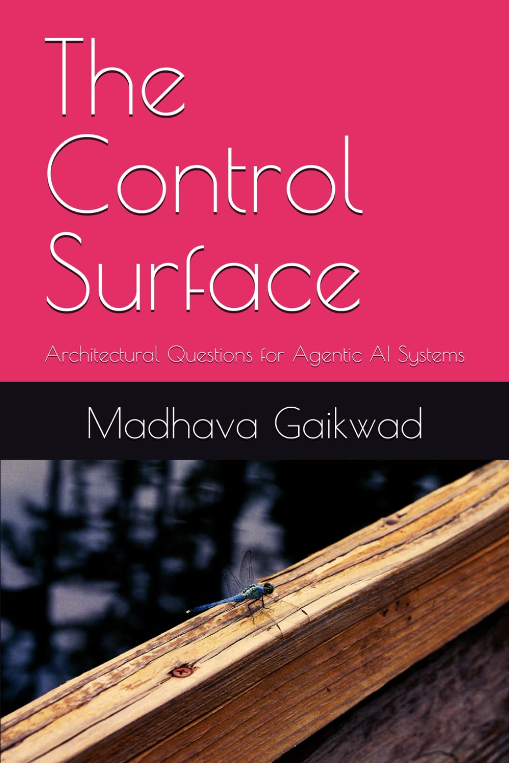 The Control Surface: Architectural Questions for Agentic AI Systems