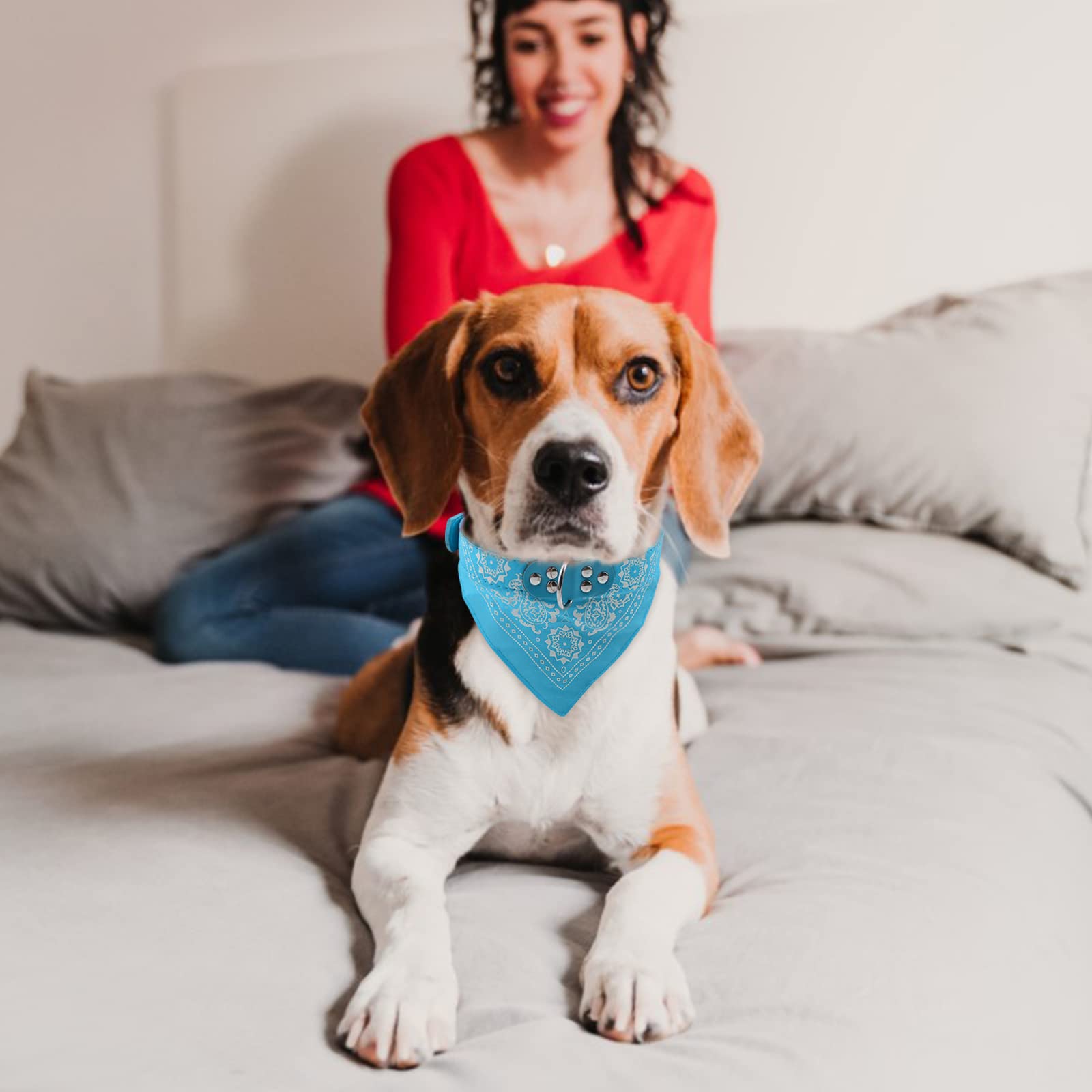 Amazon | HACRAHO 犬の首輪バンダナ, 4個 トライアングルドッグ