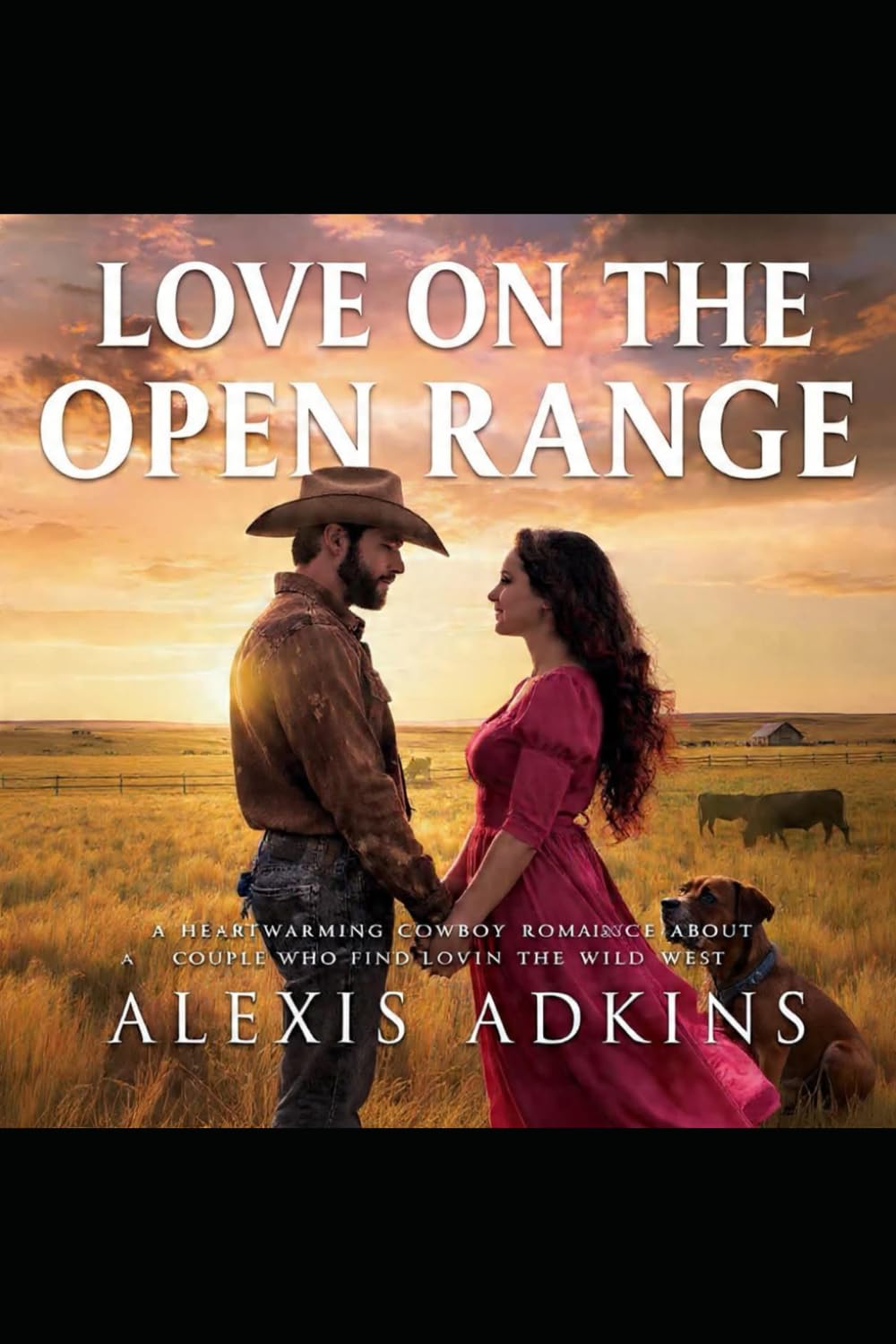 Love on the Open Range: Finding Love Under the Endless Western Sky