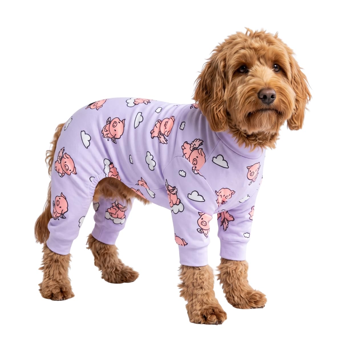 Spark Paws Dog Pajamas - Stretch Onesie Recovery Full Leg Surgery Suit PJS