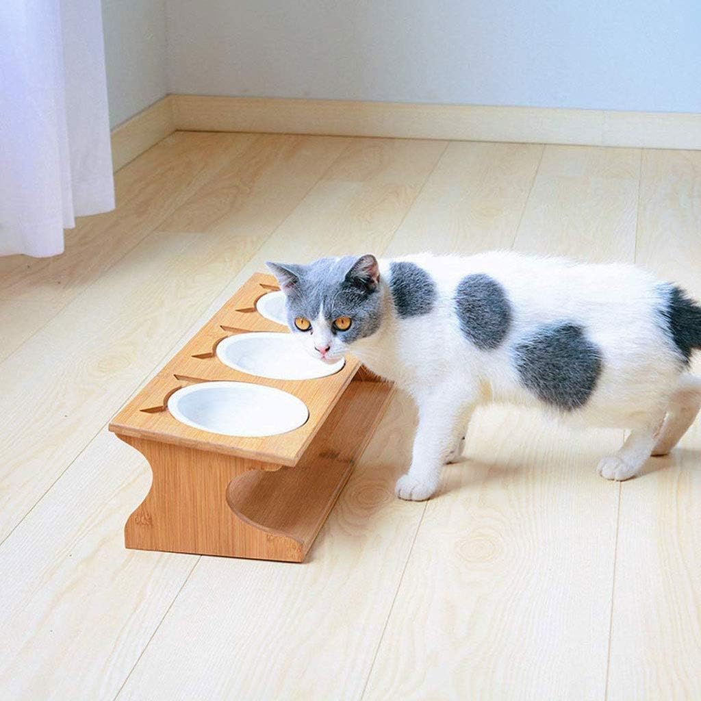 Wood Pet Bowl，Raised Bowls, Dining Table Oblique Stand for Cats Dogs Kitten and Puppy image 3