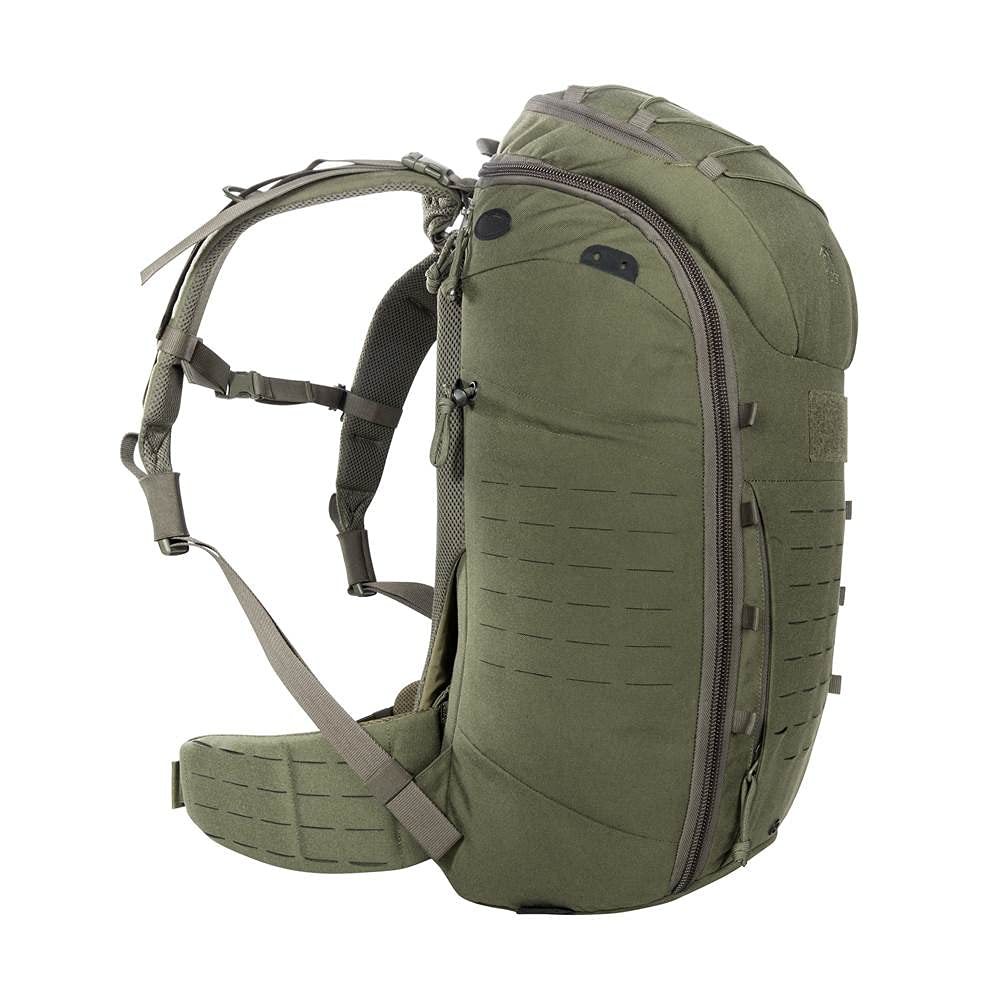 Tasmanian Tiger TT Molle Hip Belt Stabiler, Molle-kompatibler Hüftgurt für TT Rucksäcke