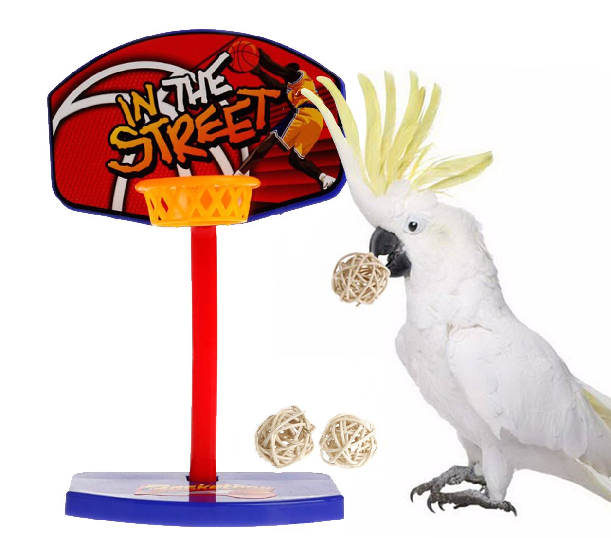 Sage Square Playful Basketball Cum Training Toy for Healthy and Happy Pet Care for Birds with 3 Balls (B07D9QJLHL) Amazon Price History, Amazon Price Tracker