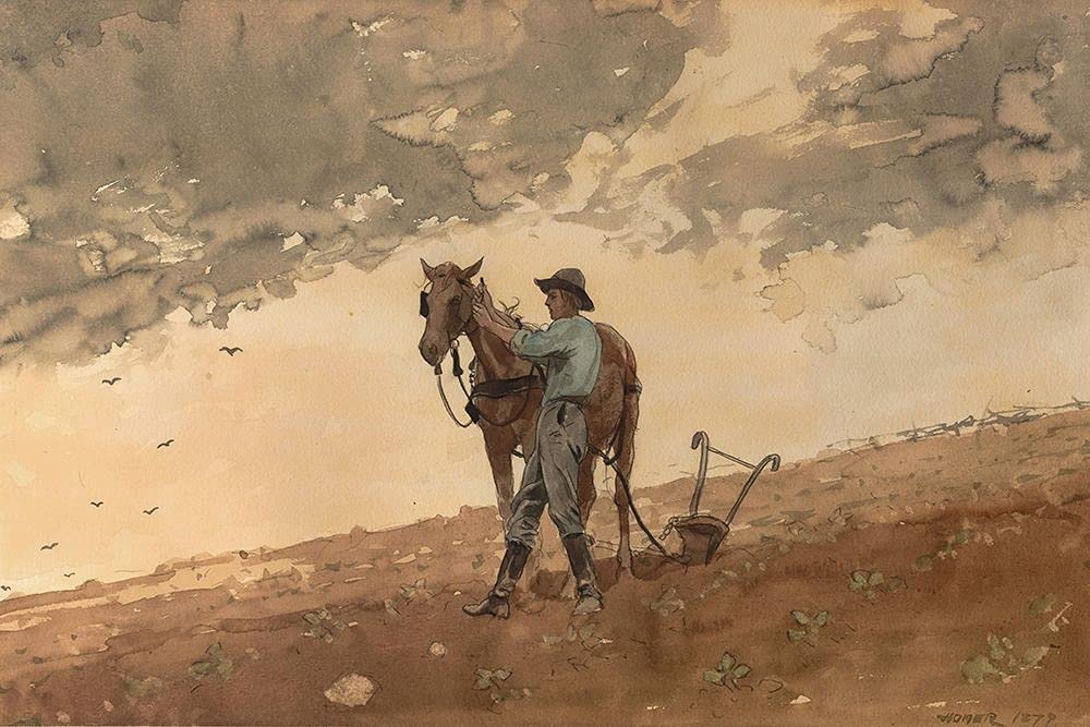 Feeling at home Uomo con Plue Horse STAMPA su CARTA OPACA 220gr Winslow Homer - Animali orizzontale Immagine d'arte x cornice cm_72_X_108