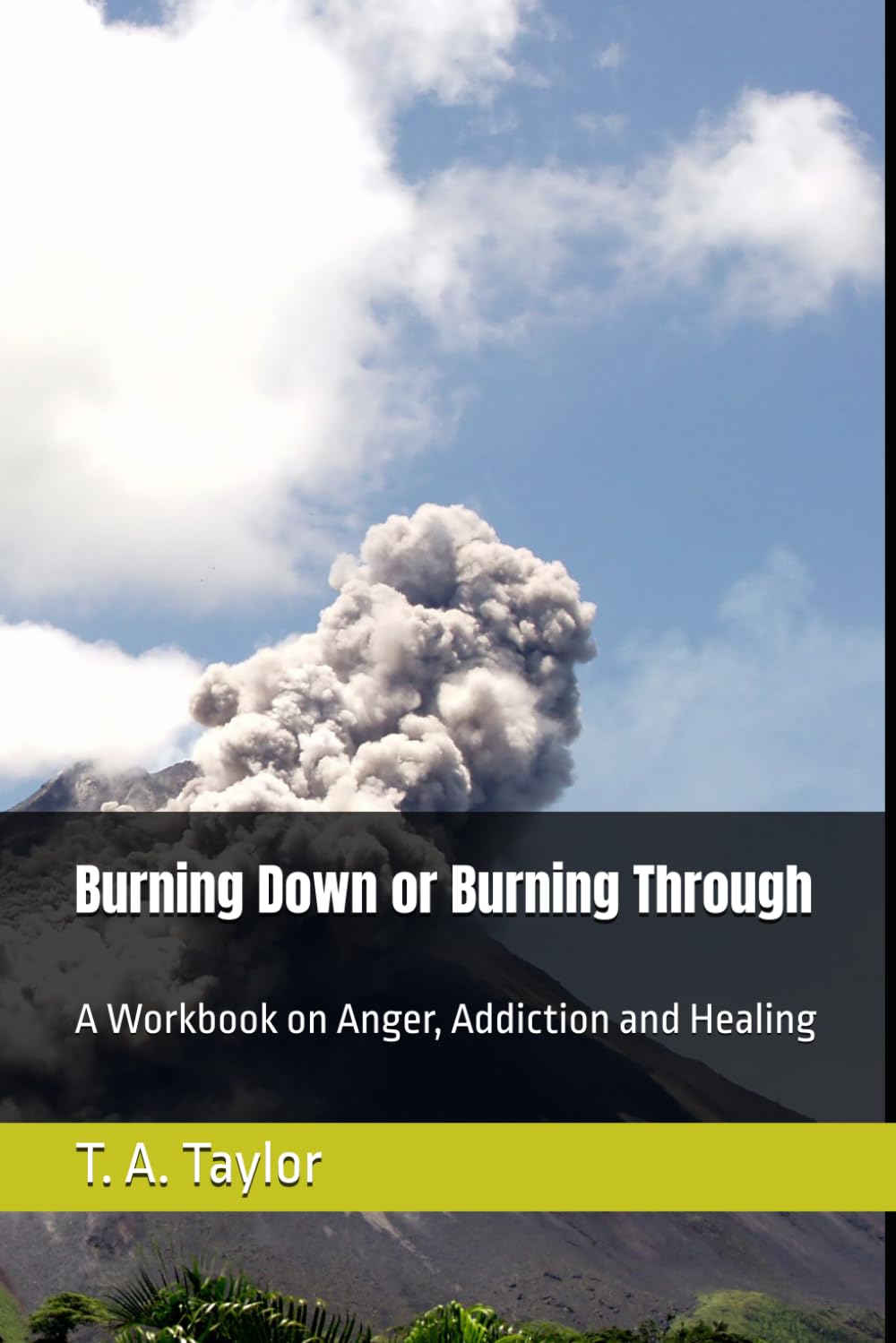 Burning Down or Burning Through: A Workbook on Anger, Addiction and Healing (A Fork in the Road Recovery Workbooks)