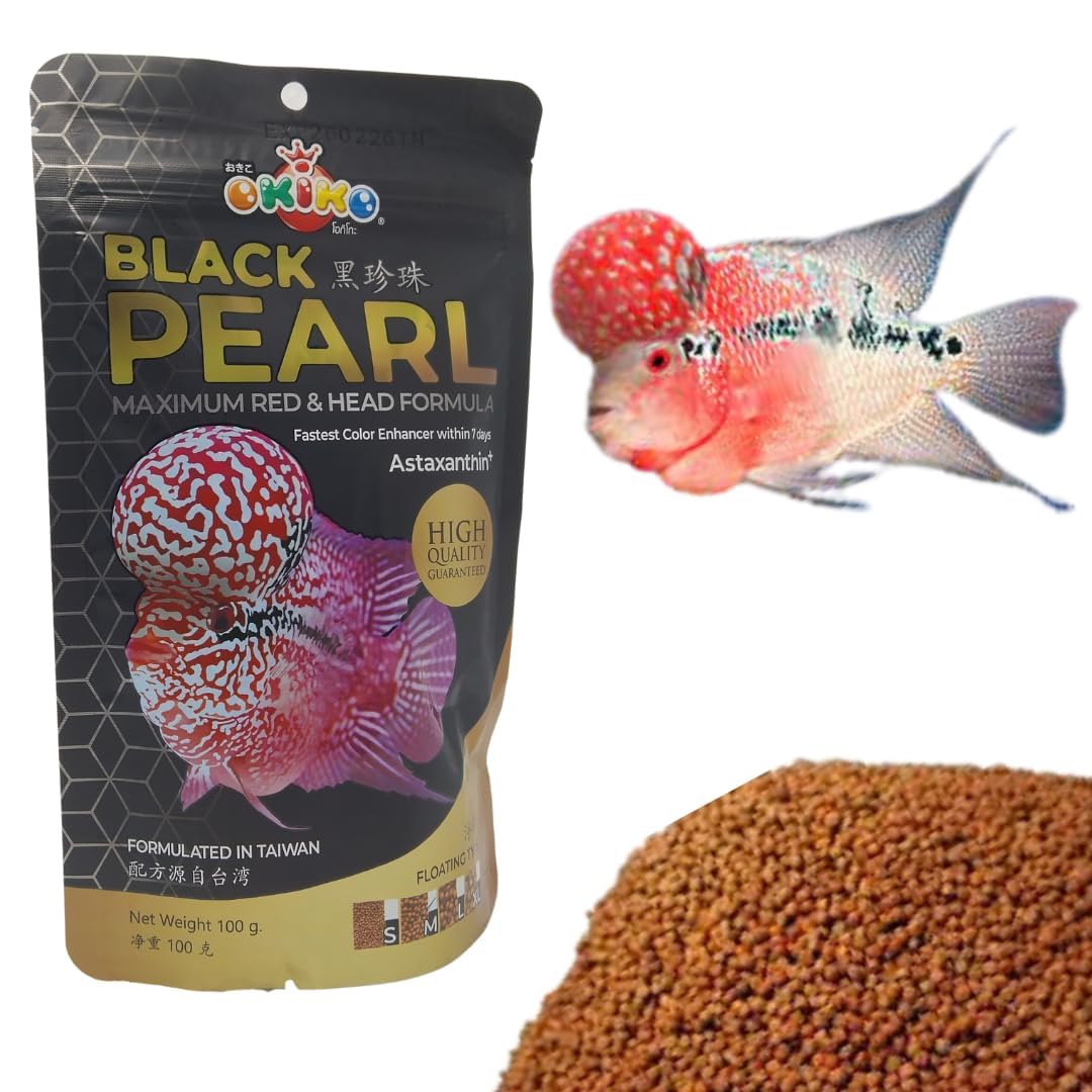 See full amazon price history chart for Navata Black Pearl Flowerhorn Fish Food | Specialized Head Booster Formula Flowerhorn | Enhances Head Growth, Vibrancy, and Overall Health for Flowerhorn Fish (100 Grams) Navata Black Pearl Flowerhorn Fish Food | Specialized Head Booster Formula Flowerhorn | Enhances Head Growth, Vibrancy, and Overall Health for Flowerhorn Fish (100 Grams) (B0DD3VX8V7) Amazon Price History, Amazon Price Tracker