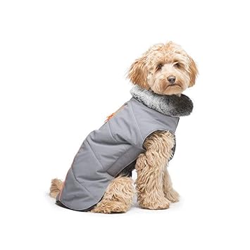 Petlogix Meteor Tamarack Warm Coat for Puppies & Dogs with Windproof Waterproof Fleece Lining & Reflective Design Pup Jacket for Pets 1 Pc (Random Color, 26 Inch)