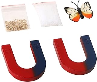 Physics Science Magnets Set for Experiment Education School Science Horseshoe U-Shaped Magnets Kit Toy Tools for Kids Students Teachers