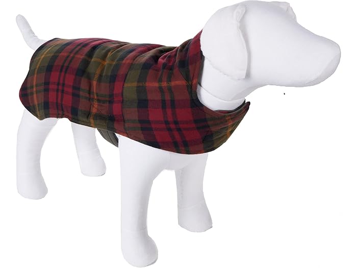 ll bean dog coat