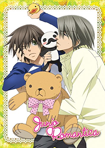 Junjo Romantica: Season 1 Junjo Romantica: Season 1
