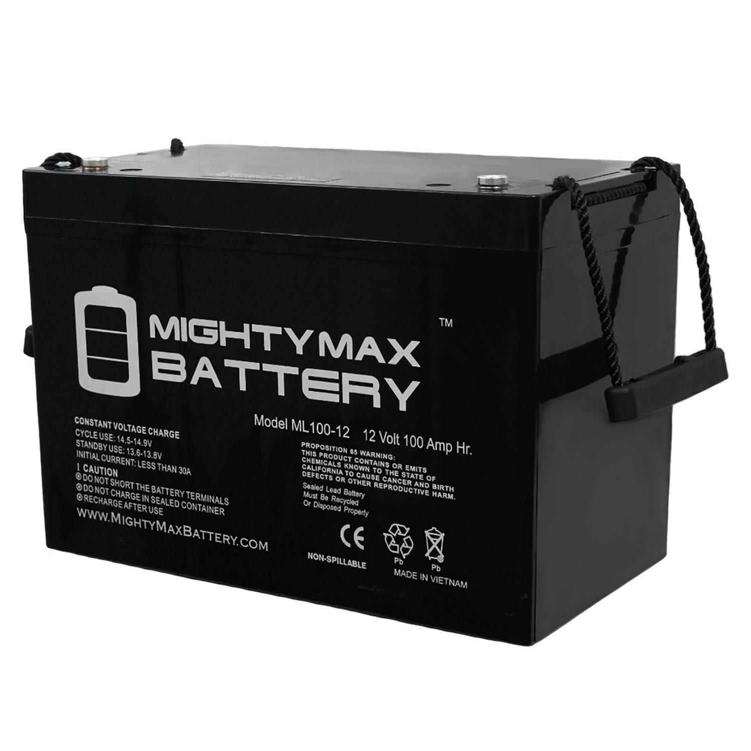 Mighty Max Battery12V 100Ah SLA Battery Replacement for Syscom ASBP110A