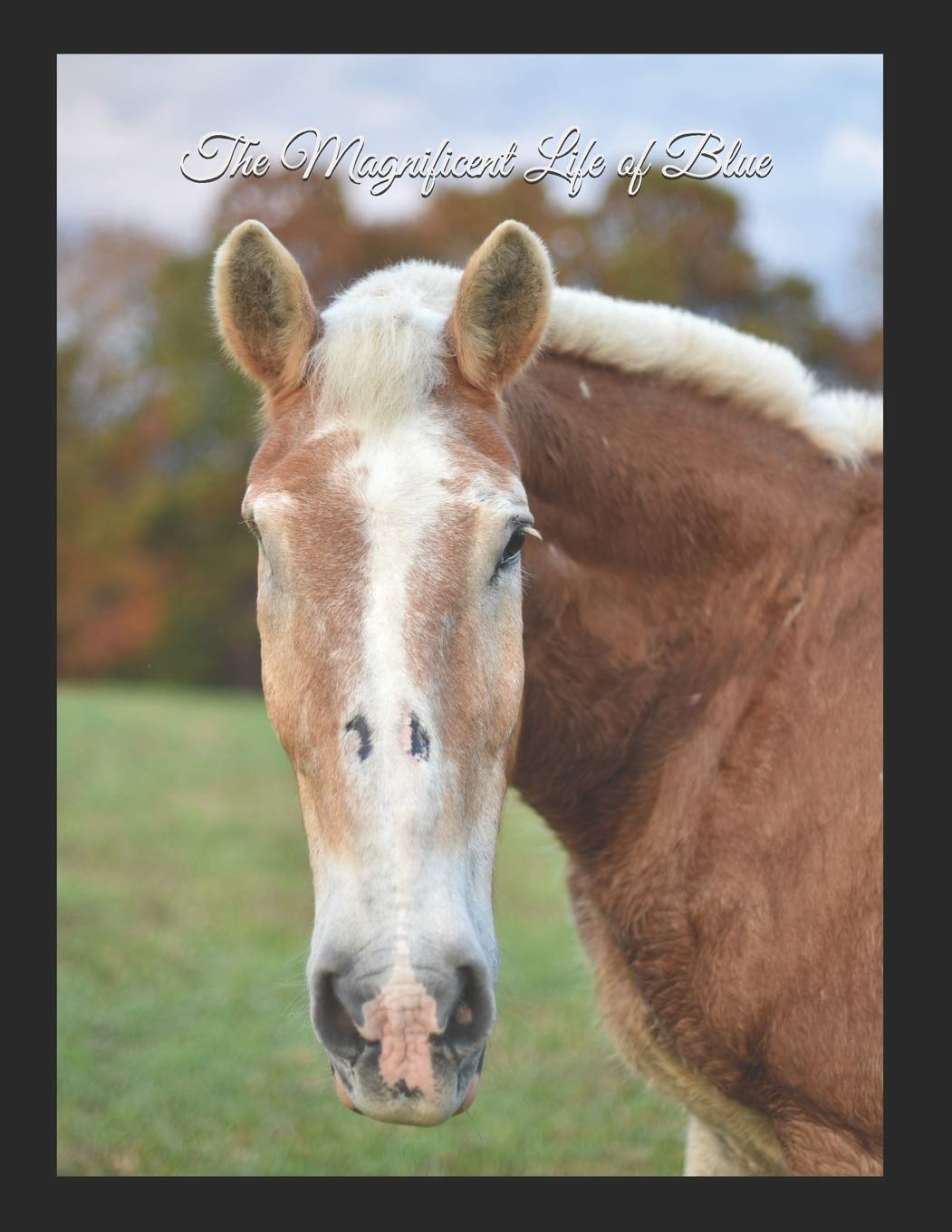 The Magnificent Life of Blue