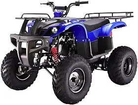 Quadriciclo À Gasolina 150cc Atv Original DSR (Azul)