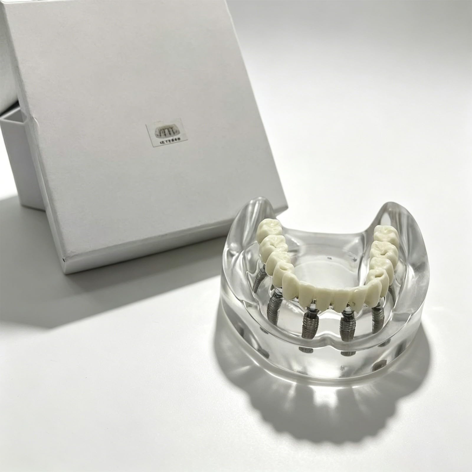 Modello di impianto dentale overdenture mascella inferiore rimovibile con 6 impianti per studio didattico - Strumento di dimostrazione della visione trasparente