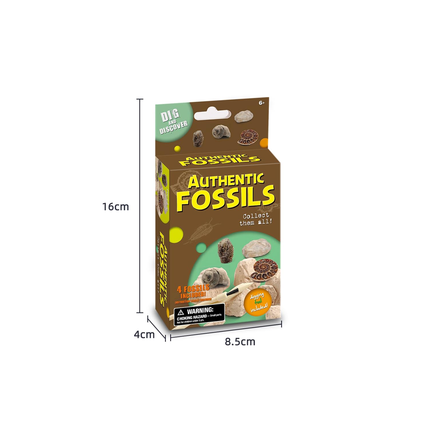 EDUMAN Mini Kit Fósil Sorpresa – Excava 4 Fósiles Aleatorios de 16 Tipos con Cincel & Cepillo | Juguete Educativo Stem para Niños 6+