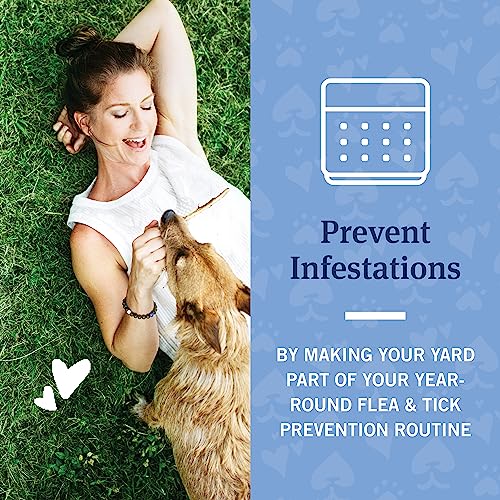 Image of PetArmor Home Yard Spray for Dogs, Kills and Protects Against Fleas, Ticks, Mosquitoes, Ants, and Other Bugs, 32oz