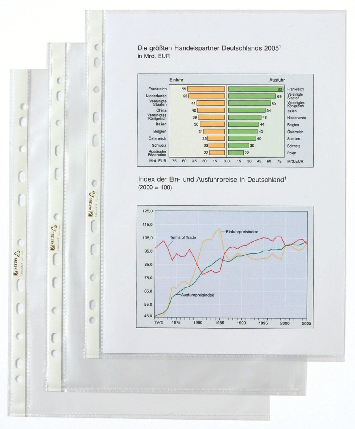 Hetzel Economy - Buste trasparenti formato DIN A4, 10 x 100 pezzi, trasparente