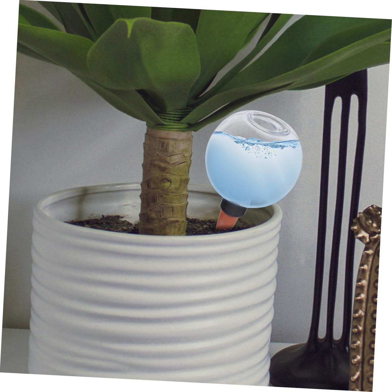 Hemobllo 8pièces Globes Arrosage Automatique pour Plantes Dispositif Irrigation pour Et Simplifie Arrosage Et Eau