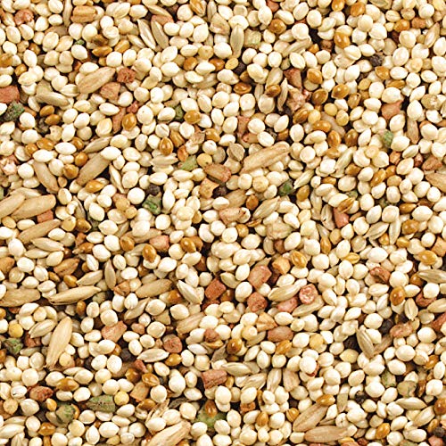 Wild Harvest P-99267 Daily Blend Nutrition Diet For Parakeet, Canary And Finch 10 Pounds thumb #2