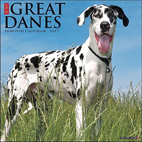 Just Great Danes 2017 Calendar