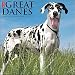 Just Great Danes 2017 Wall Calendar (Dog Breed Calendars)