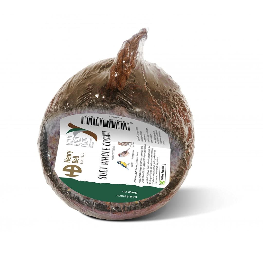 Noix de coco entière riche en graisse pour oiseaux sauvages
