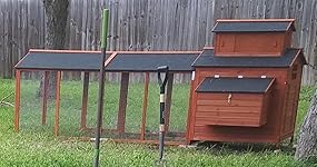 Review Image by Rebecca McNamee Rebecca McNamee