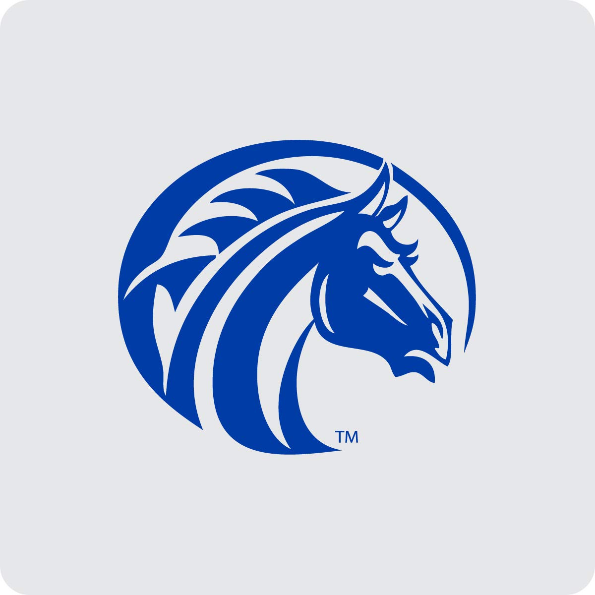 Fayetteville State University Acrylic Coaster 4-Pack Officially Licensed Collegiate Product