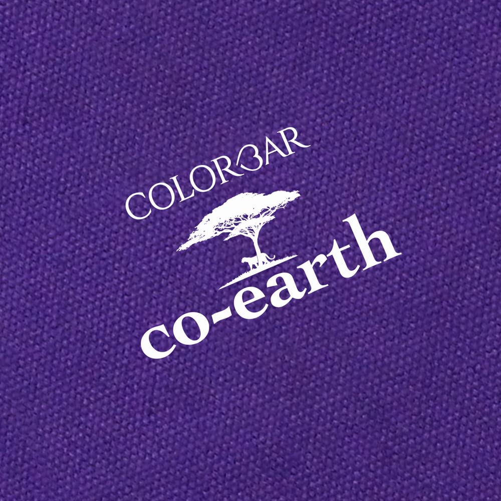 Colorbar Co-Earth Flamazing Flat Pouch - Deep Purple 3