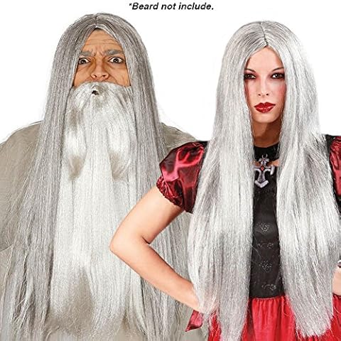 Extra Long Grey Wizard Witch Gandalf Style Halloween Fancy Dress Wig Cover